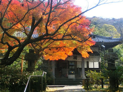  安国論寺の紅葉