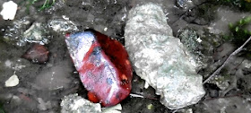 Rocks coloured by minerals in the Anglin River. Vienne. France. Photo by Loire Valley Time Travel.