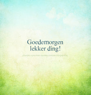 afbeelding met goedemorgen quote