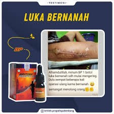 british propolis untuk luka bernanah