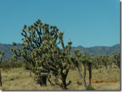 DSCN3189