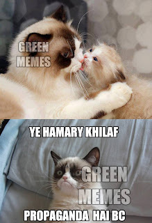 Green Memes Manhoos Billi 