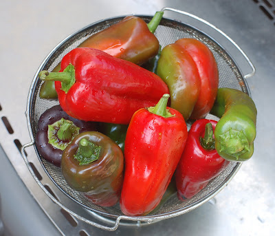 Canning recipes peppers