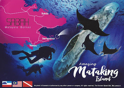 diving malaysia