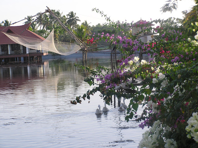 View of the green setting inside the Lake View Resort in Alleppey, Kerala with flowers, and fishing nets in the water