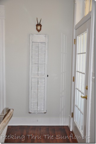 white  shutter 008