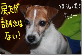 今日カズ１００２２３　５