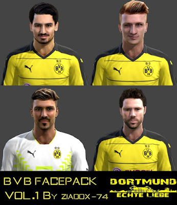 PES 2013 B.V.B Facepack Vol.1 By ZiadOx-74 