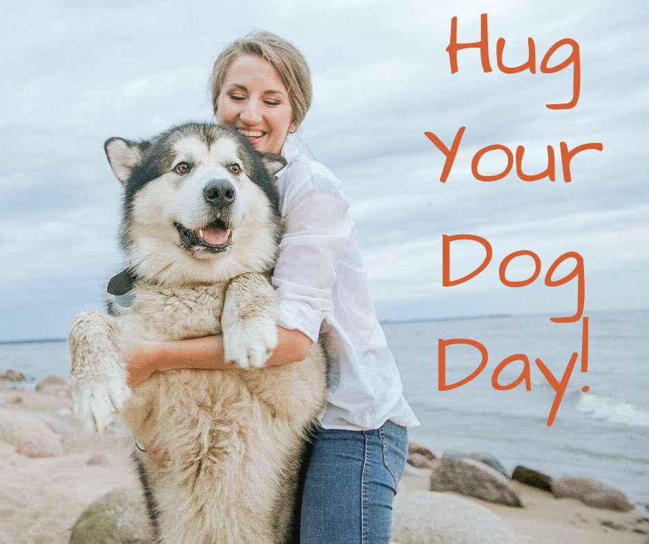 National Hug Your Dog Day Wishes For Facebook