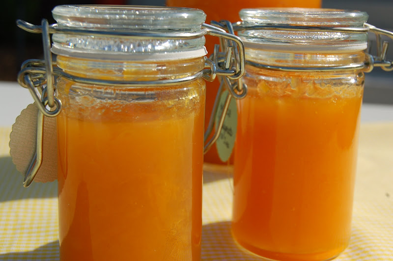 homemade apricot jam title=