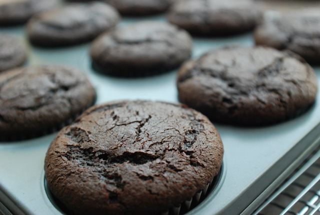 chocolate cupcakes