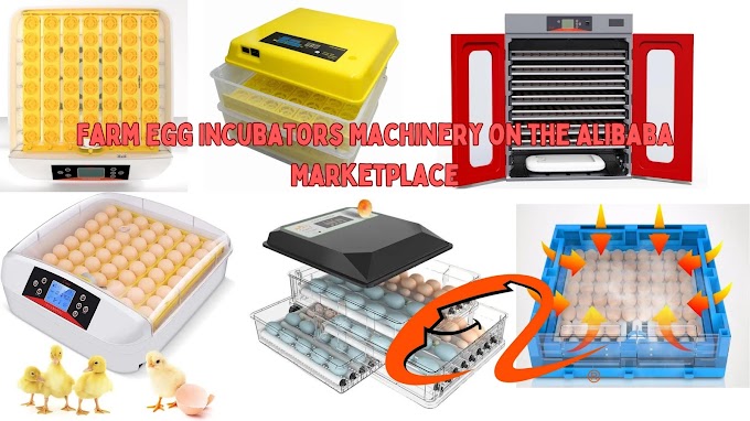 Best Quality Machine farm egg incubator equipment