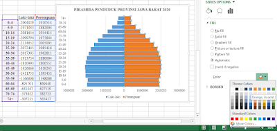 Cara Membuat Piramida Penduduk Secara Digital