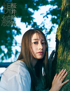 Total penjualan Shisen photobook Sakurai Reika kedua rar