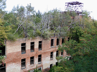 Beelitz-Heilstätte, ein Baumkronenpfad für den besseren Überblick