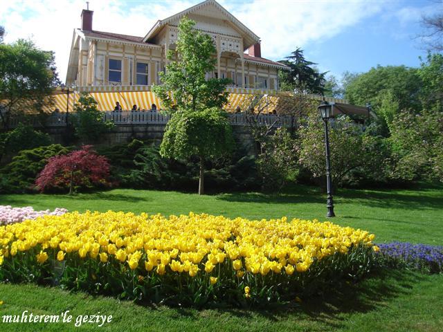 yellow mansion