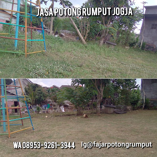 Jasa potong rumput Jogja