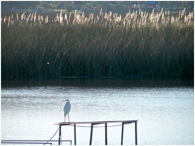 Humedales del Río Santa Lucía - Chacra Educativa Santa Lucía