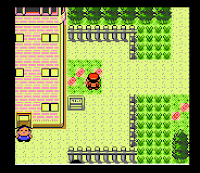 Pokemon Version Legende Screenshot 01