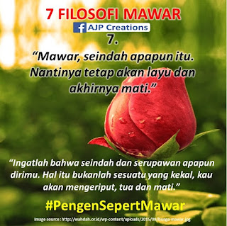  Kata-Kata Bijak Filosofi Mawar