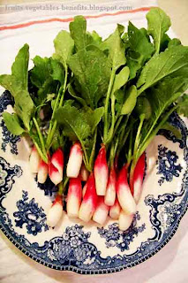 benefits_of_eating_radishes_fruits-vegetables-benefits.blogspot.com(benefits_of_eating_radishes_12)