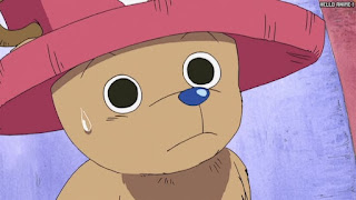 ワンピース アニメ 空島 スカイピア 155話 チョッパー Tony Tony Chopper | ONE PIECE Episode 155 Skypiea