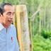 Jokowi Ingin 16 Ribu ASN Pindah Duluan Biar IKN Nggak Terlalu Sepi