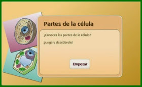 http://www.primaria.librosvivos.net/archivosCMS/3/3/16/usuarios/103294/9/5EP_Cono_cas_ud1_183/frame_prim.swf