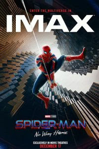 Spider-Man: No Way Home – iMAX Version (2022) Dual Audio {Hindi-English} 480p