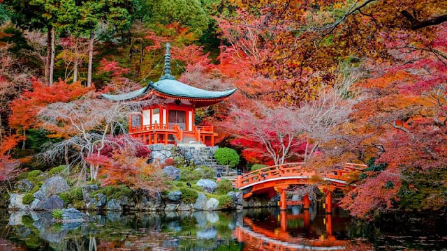    THE CHARMING COLOR OF THE AUTUMN OF SOUTHERN JAPAN