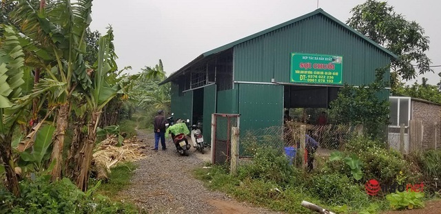 Chàng trai biến loại phụ phẩm bị vứt bỏ, cho bò, lợn ăn thành mặt hàng tỷ đô - Ảnh 3.