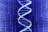 Understanding Structure of DNA