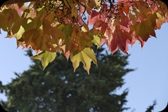 P1050263