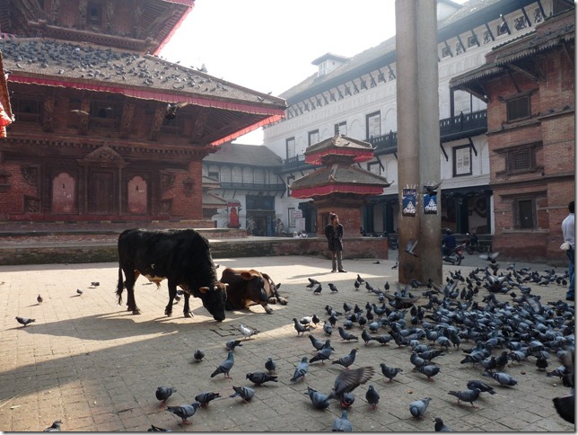 2008.12_india_2218