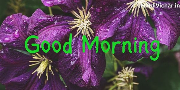 Beautiful Rainy Good Morning Images