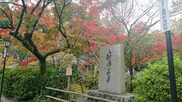 京都 長岡天満宮 紅葉