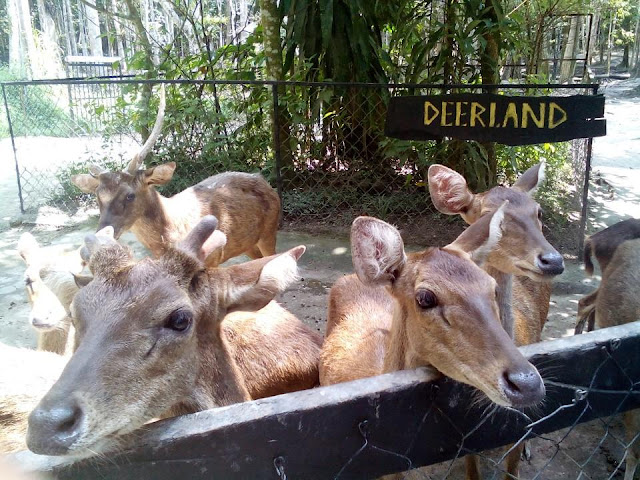 Datang Temerloh Nak Bercuti Dimana? Ikuti Senarai Tempat Menarik Di Temerloh