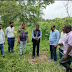  जे एन सी यू में कुलपति प्रो. संजीत कुमार गुप्ता ने  पौधरोपण अभियान  का श्रीगणेश किया