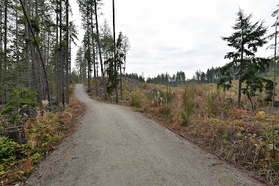 Great Trail path Vancouver Island.