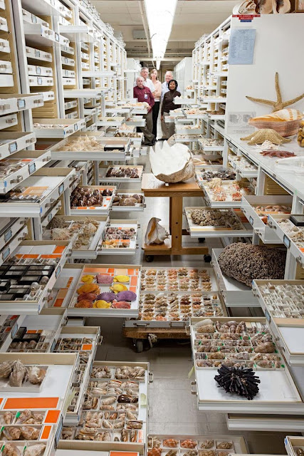Fotógrafo revela os bastidores do Museu Nacional Smithsonian de História Natural