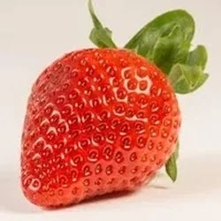 red strawberry.   How many calories are in 1 strawberry
