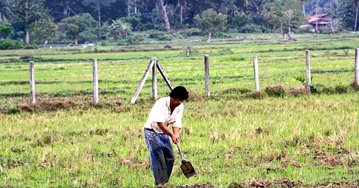 Gubuk Kecil Kembara Jalanan Pemberi Sesuap Nasi Dijulang 