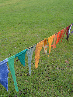 coloured flags