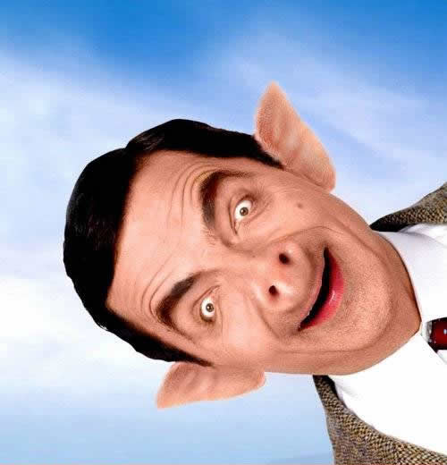 Mr bean funny photos