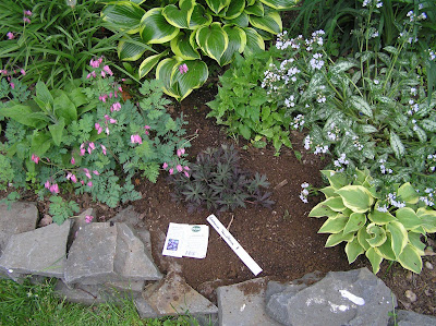 Site Blogspot  Garden Border Designs on Old Country Gardens  5 27 07   6 3 07