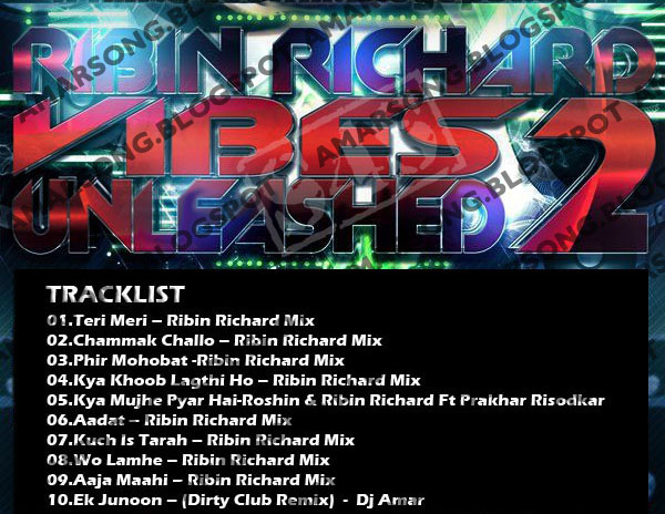 Vibes Unleashed Vol 2 (2011) - Ribin Richard