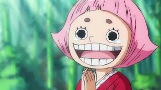 ワンピースアニメ ワノ国編 おトコ | ONE PIECE Episode 956