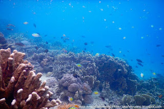 Warduwer beach of Raja Ampat Flow Resort