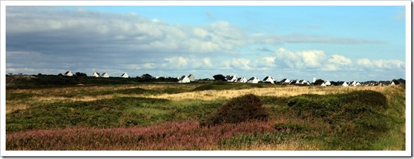 IMG_9508