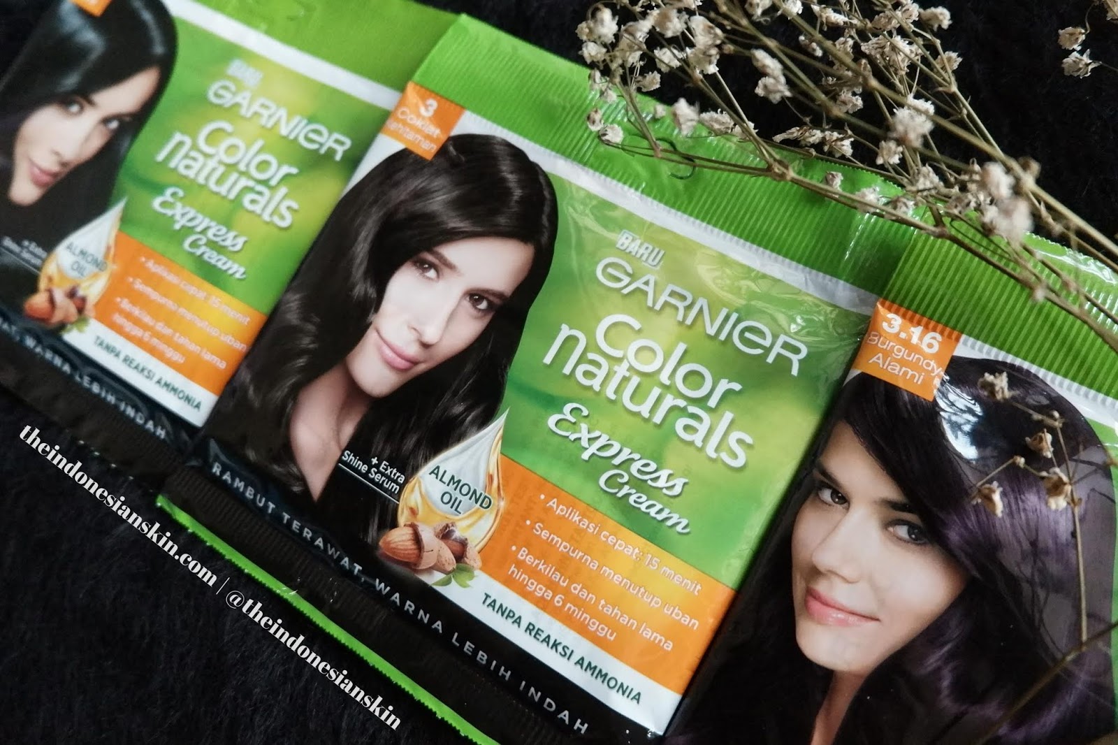  REVIEW  Cat  Rambut  Garnier  Color Naturals Express Cream 